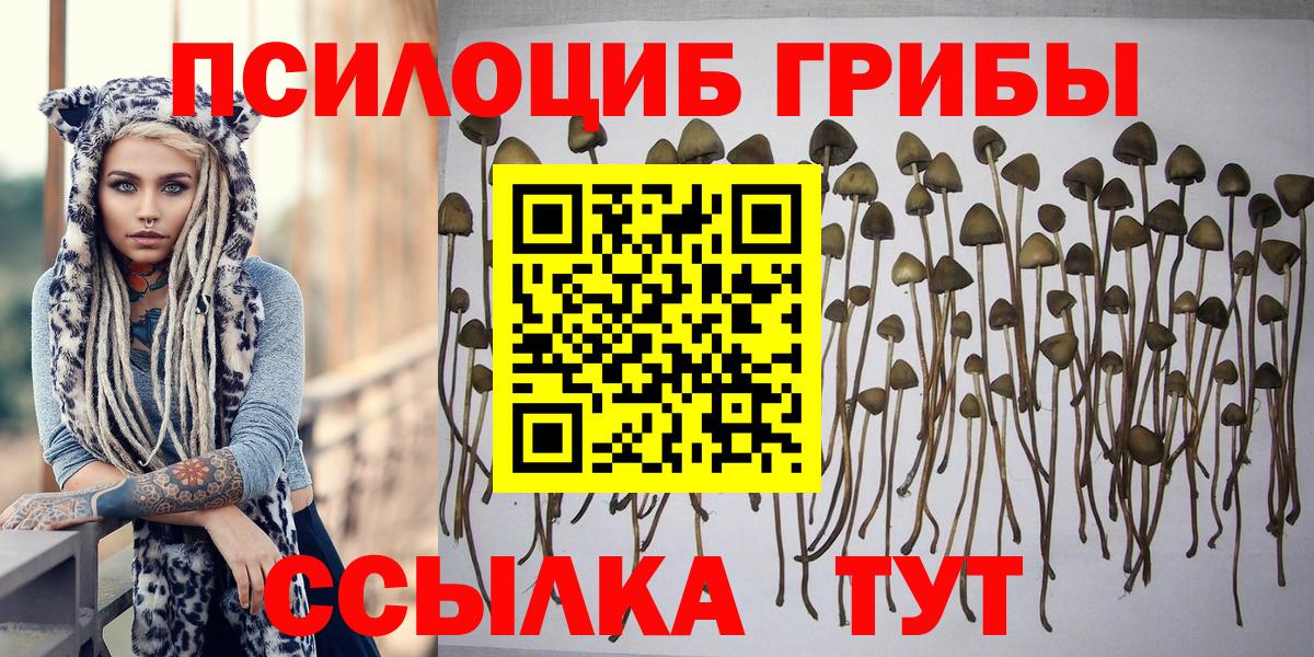 Отрадный  Галлюциногенные грибы Psilocybe  Вход с VPN  Галлюциногенные грибы Magic Shrooms 